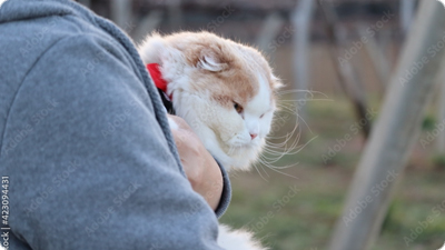 飼えなくなる方の悩み解消